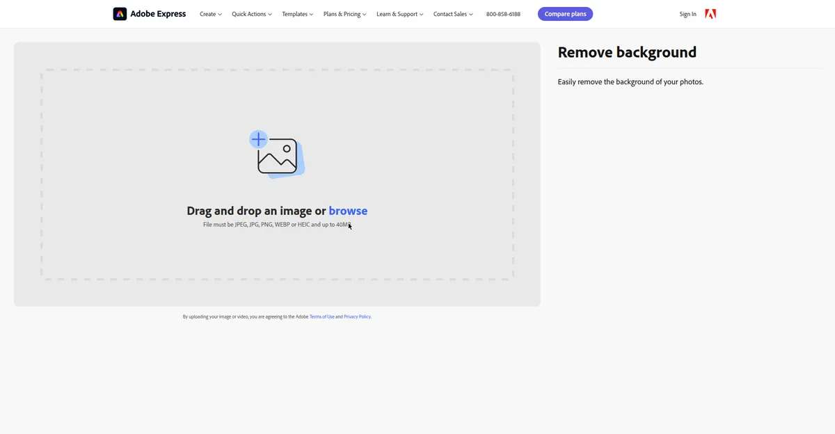 Adobe Express background remover used to remove background from product photos